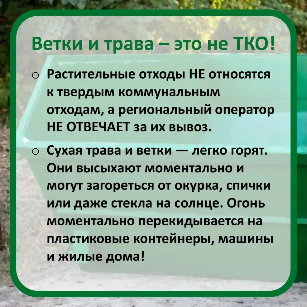 🚮 Это не просто мусор, это порох
 
Весной и летом рядом с мусорными баками появляется скошенная тра