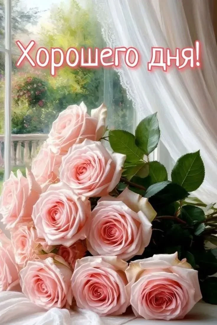 Подпишись 👇