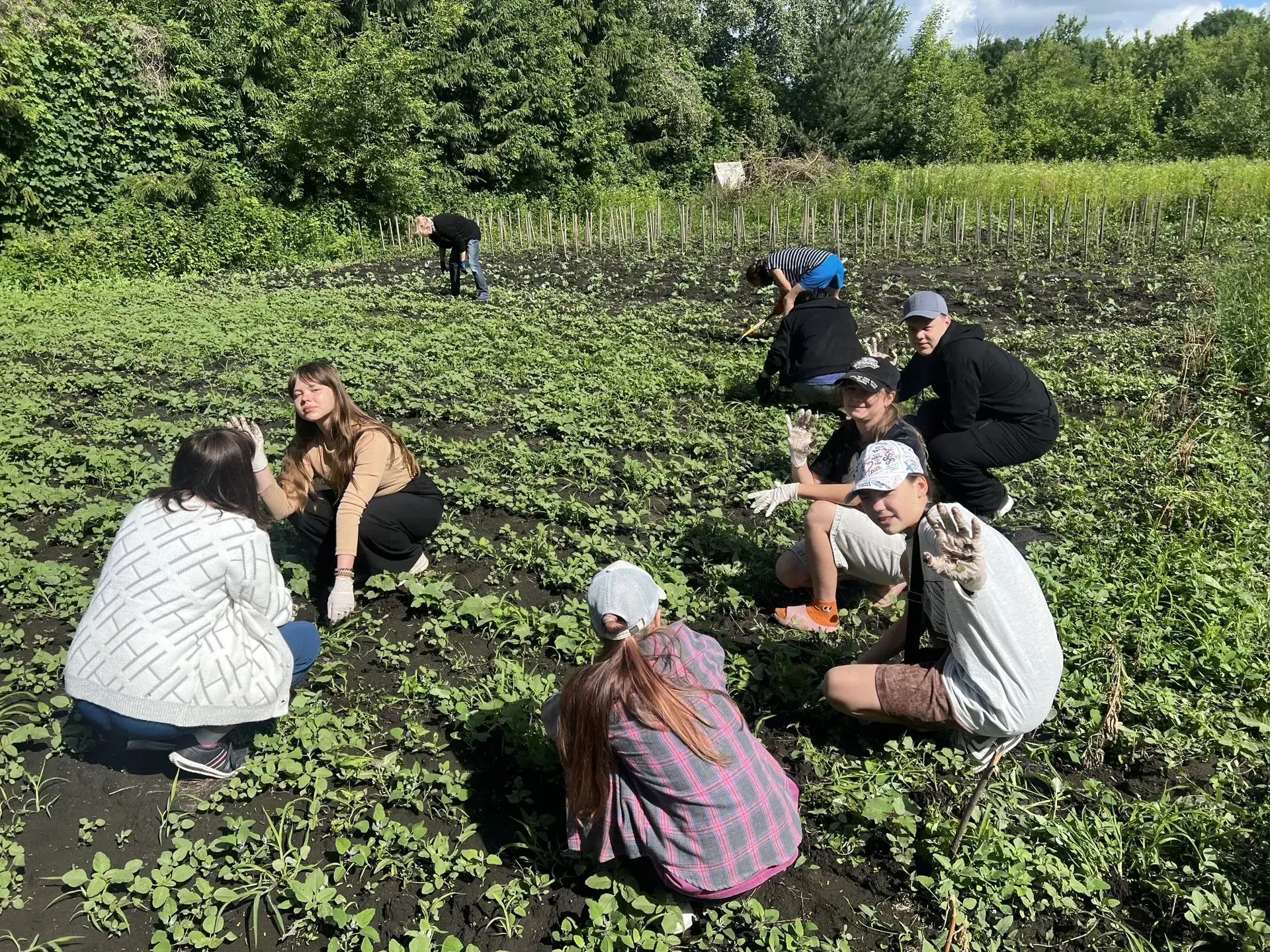 🌞 Наш день в лагере начался с бодрой зарядки и важных инструктажей по технике безопасности. Настрое