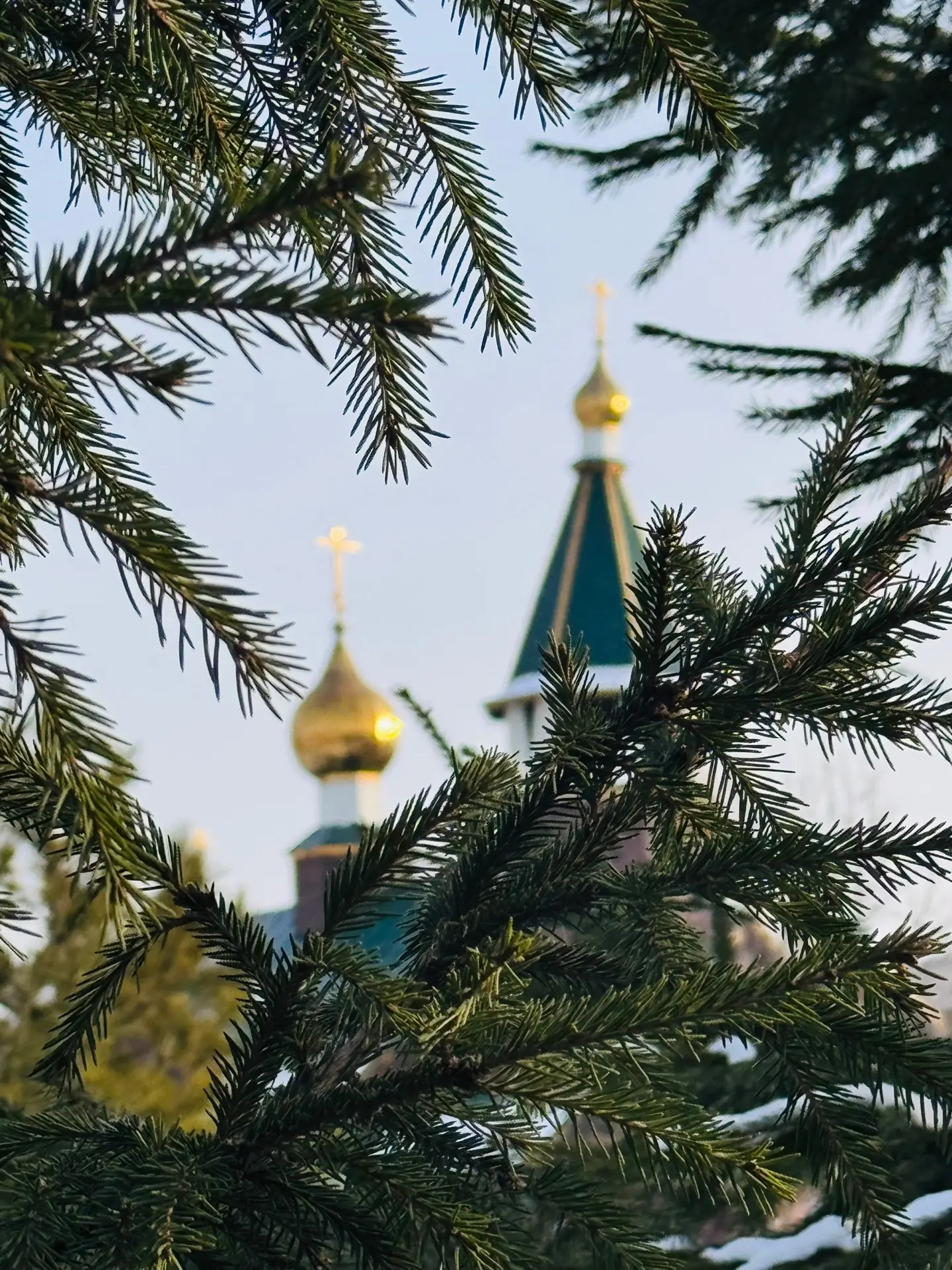 Рады приветствовать вас, дорогие братья и сестры! Спешим поделиться событиями, которые ...