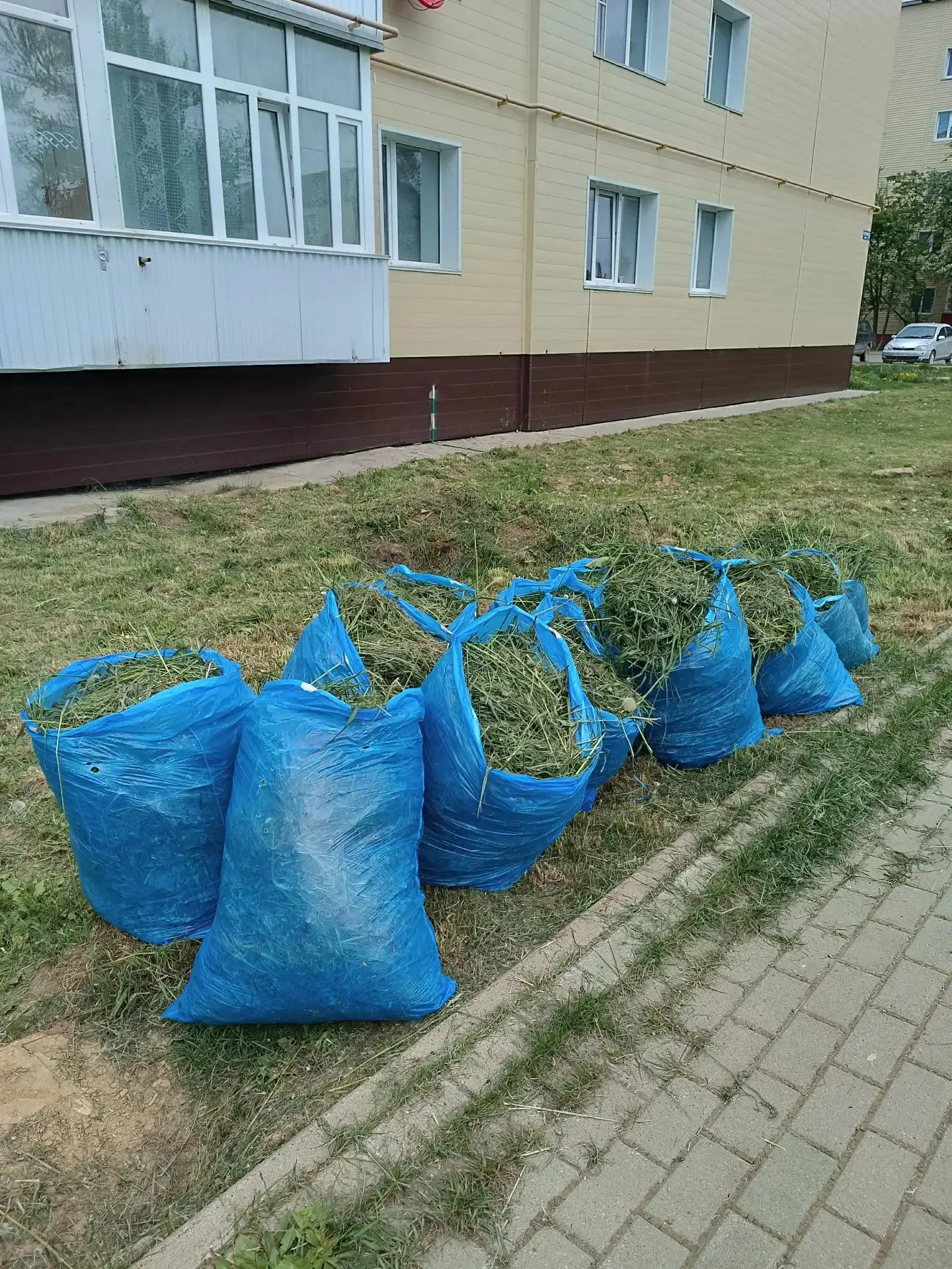Когда сезон берёт разгон

Северосахалинское лето подходило к нам робко, нерешительно. Любой ногликча