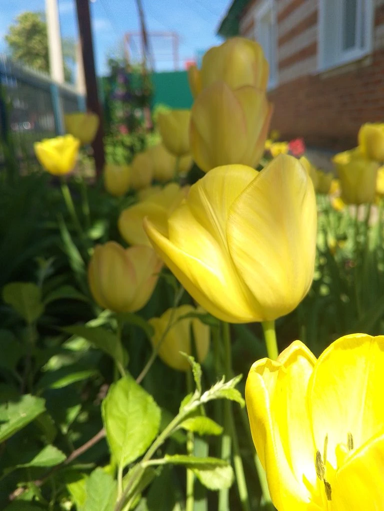 Всем доброе утро! Глава вышла неполностью. Но с моей стороны всё хорошо.                            