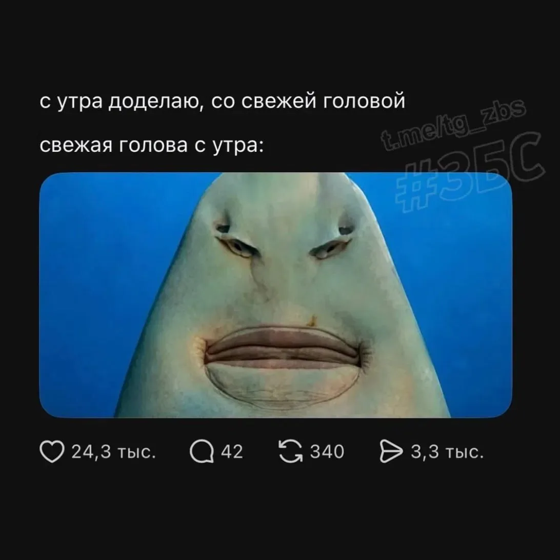 Скинул в чат со словами «это я каждое утро» - со мной перестали здороваться 💀