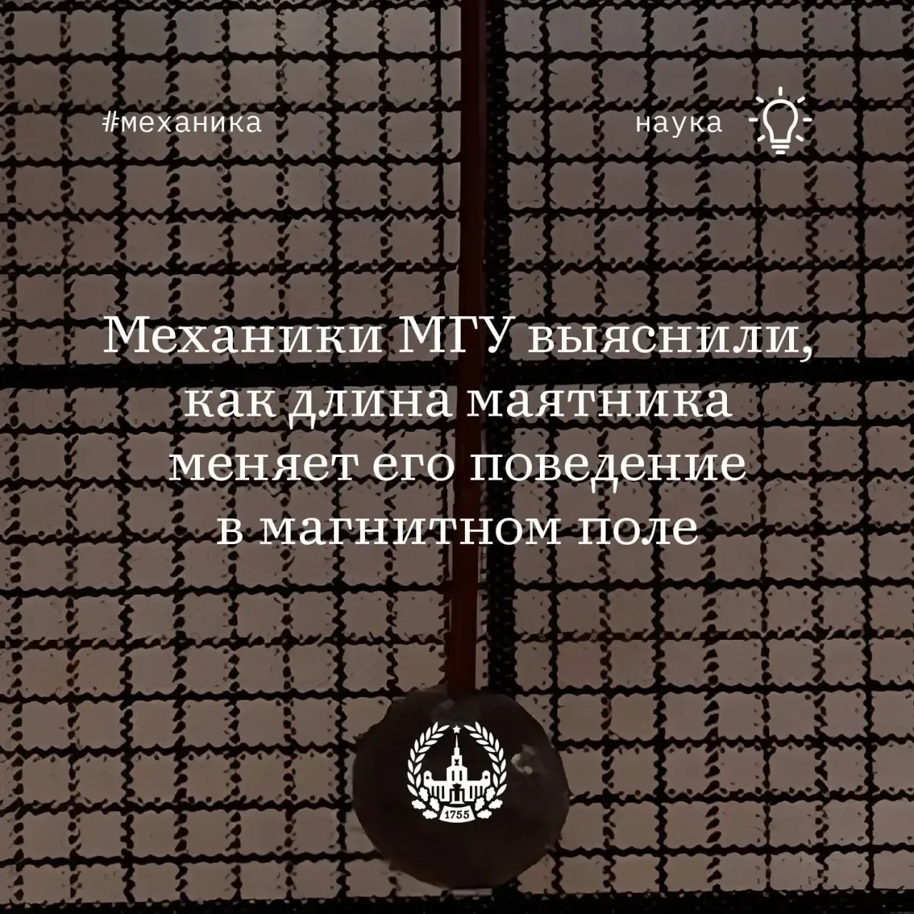 В НИИ механики МГУ изучили равновесие маятника с анизотропным магнитным телом