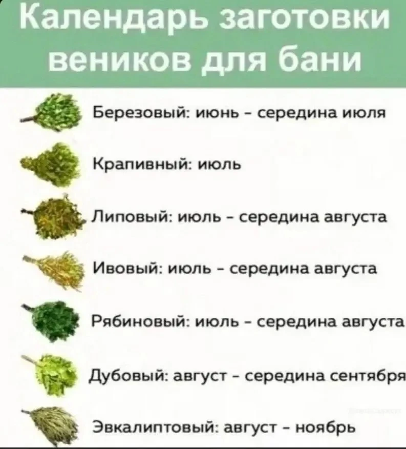 Teм, ктo цeнит бaню, этo бyдeт пoлeзнo.