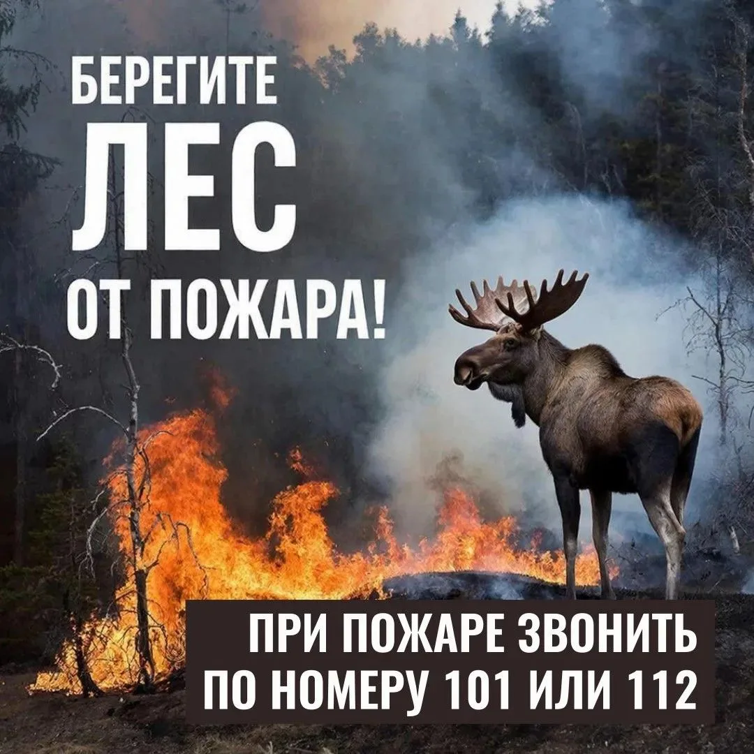 Большинство лесных пожаров возникает по вине человека.

Отправляясь в лес, соблюдайте простые правил
