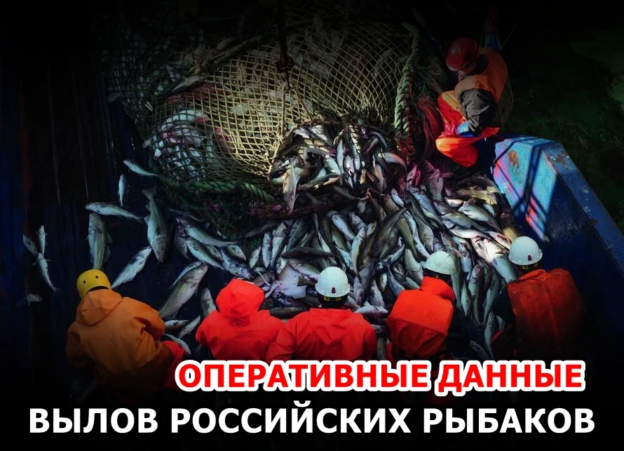 🐟 Вылов российских рыбаков к 07.10.2026