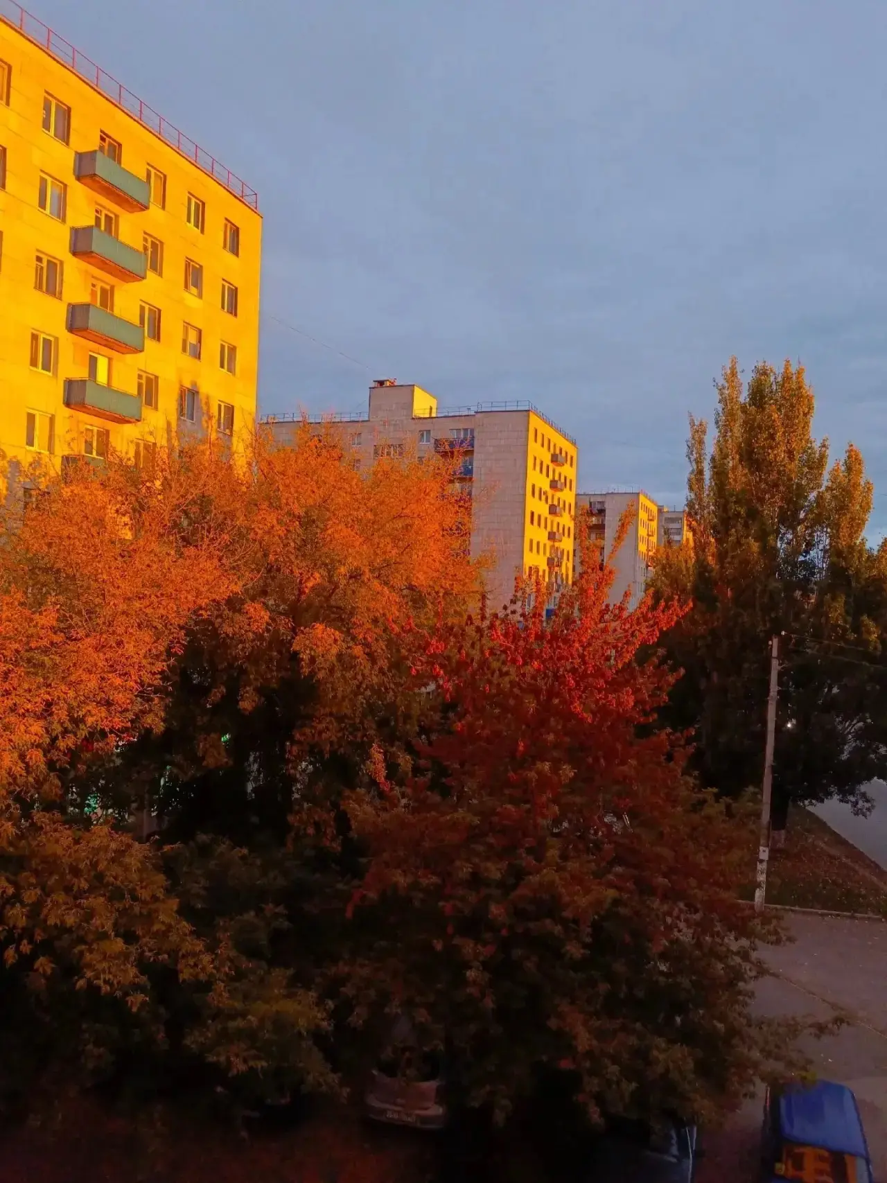 Матууур… 🍁🍂