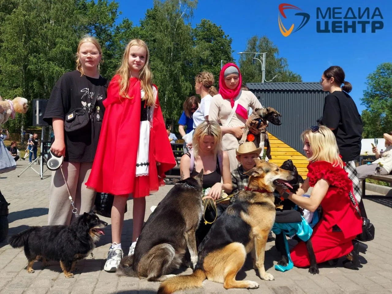 В Череповце пройдёт фестиваль «Животные – не игрушки» (6+)