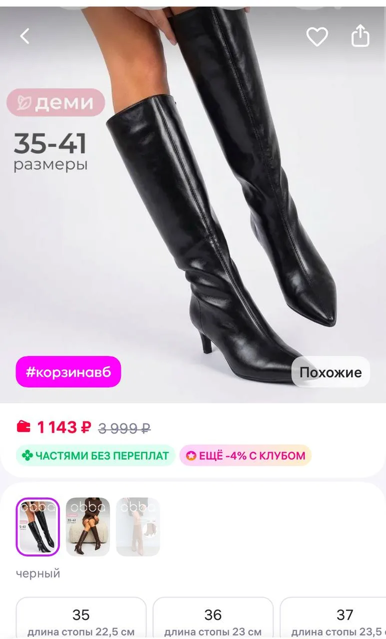 Obba Демисезонные сапоги трубы на каблуке длинные
