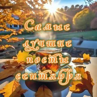 САМЫЕ ИНТЕРЕСНЫЕ ПОСТЫ СЕНТЯБРЯ:
