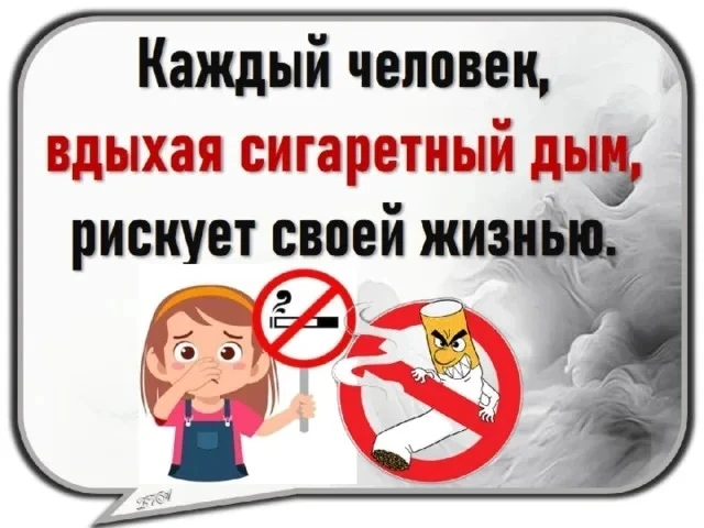 #ShporaNews⚡

🔥 В лагере нет места вредным привычкам — тут место рекордам! 💪

Свежий воздух, драйв