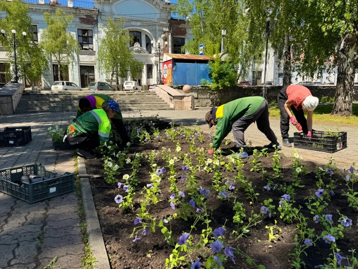 🌺🌸В Бийске стартовала высадка цветов  Специалисты ООО «Зеленстрой» приступили к оформлению цветников