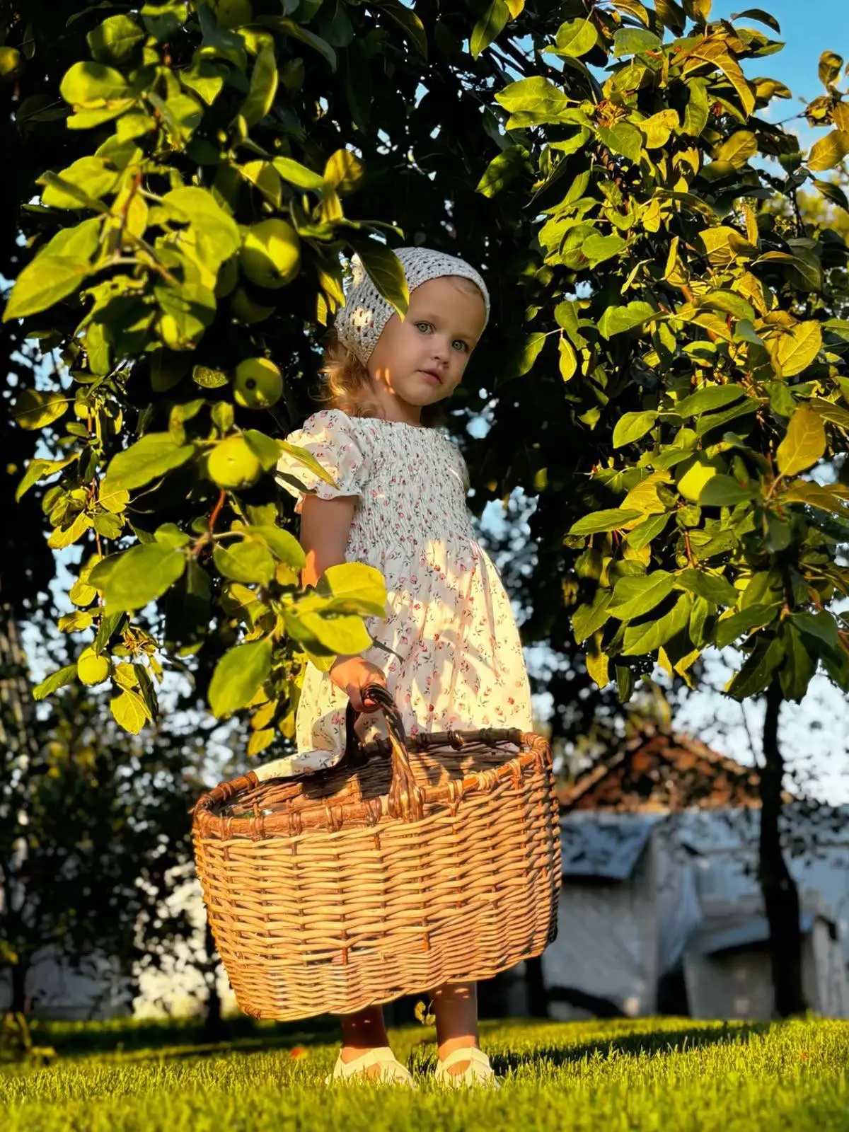 Доброе утро ☀️