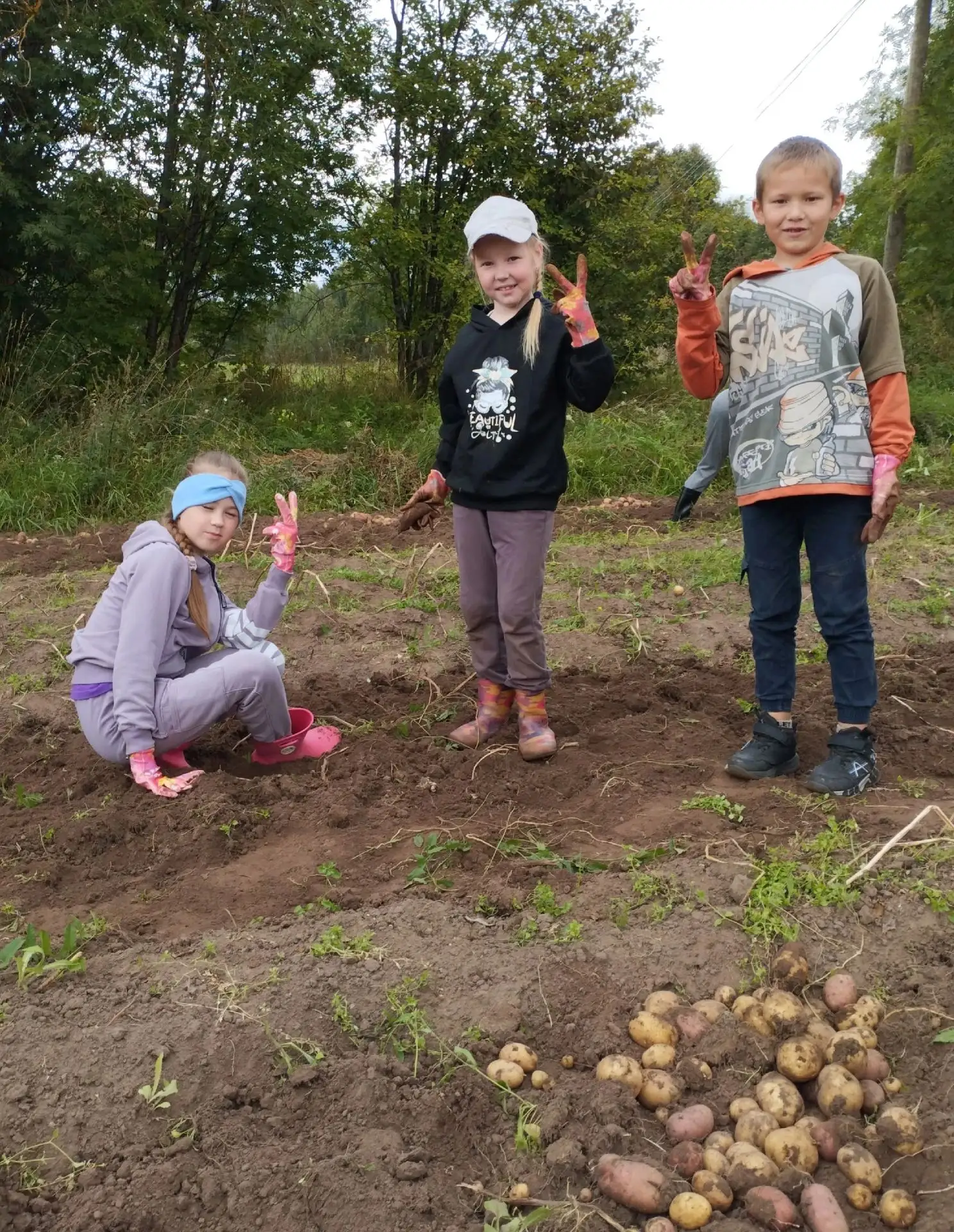 🥔Трудовой десант: уборка картофеля в школе