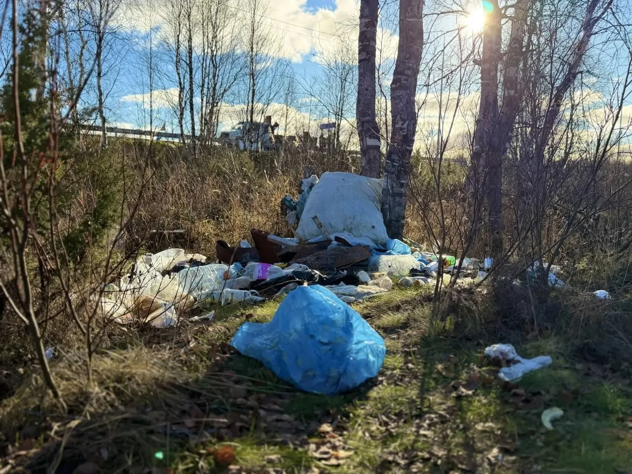 Сохраняем природу рядом с Салехардом
