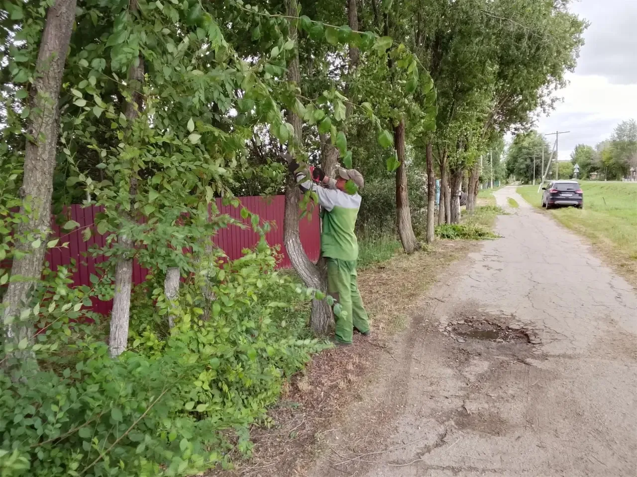 ☀️В Гагаринском районе продолжаются плановые работы по благоустройству

Сегодня в районе ведутся раб