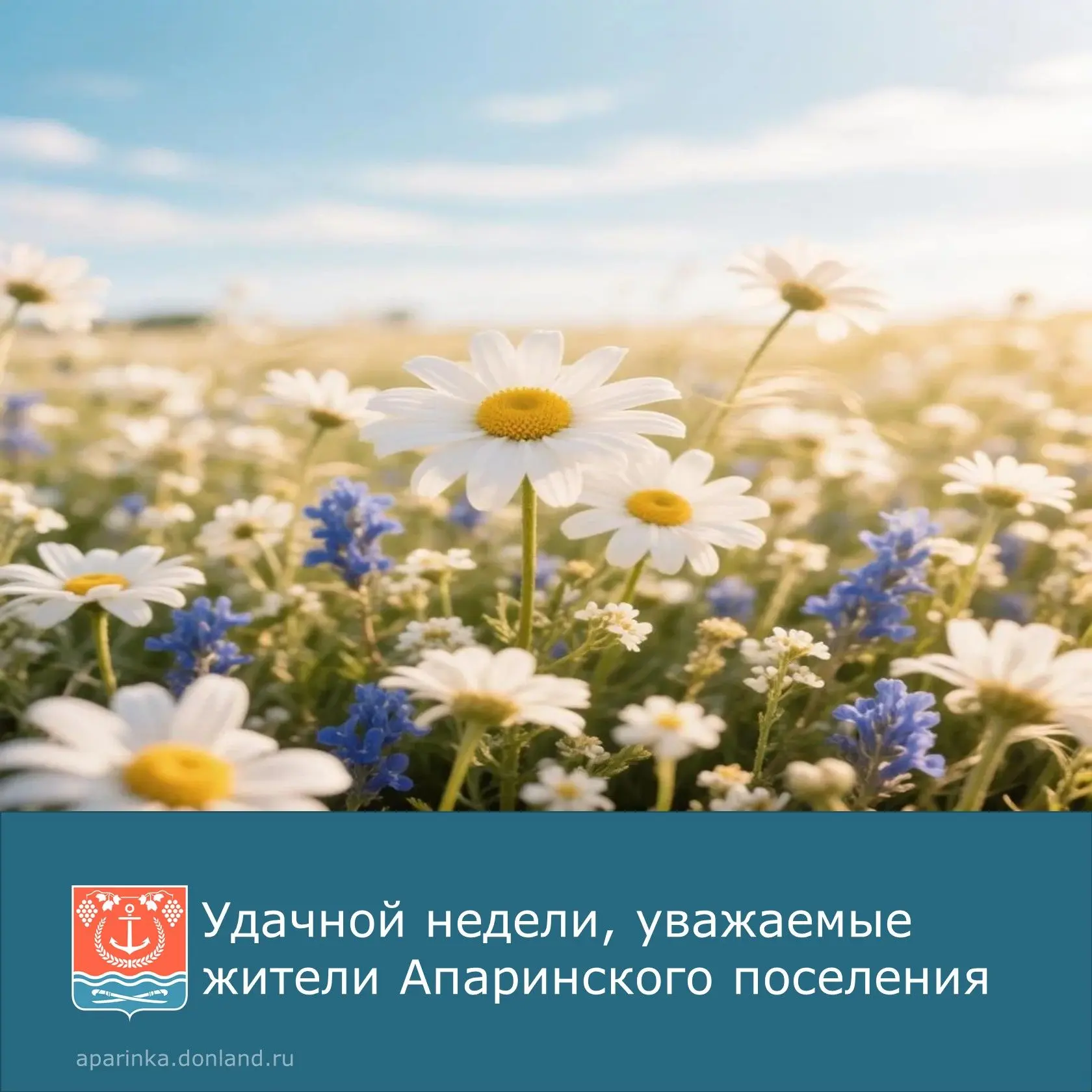 ☀️Удачной и продуктивной недели, наполненной радостью, успехами и хорошим настроением.
