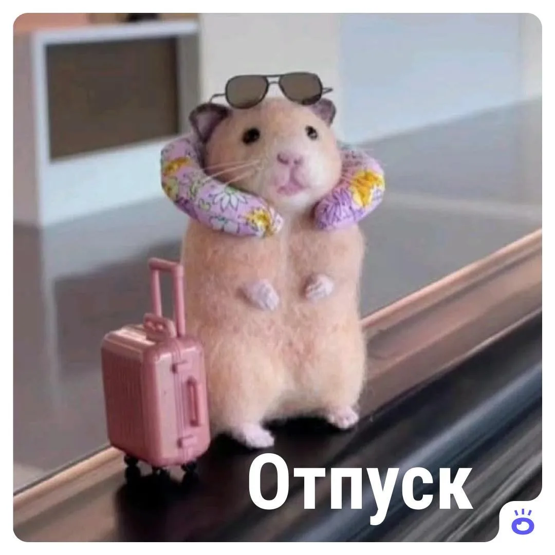 Изображение 1 к публикации «Поиск | NGS.RU | Работа Новосибирск»