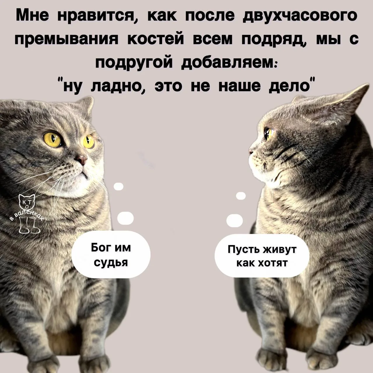 #муддня
