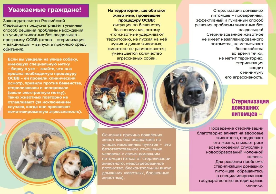 📣📣📣Внимание! Внимание!  ❗️ Важное напоминание для учащихся и родителей: правила поведения при встреч