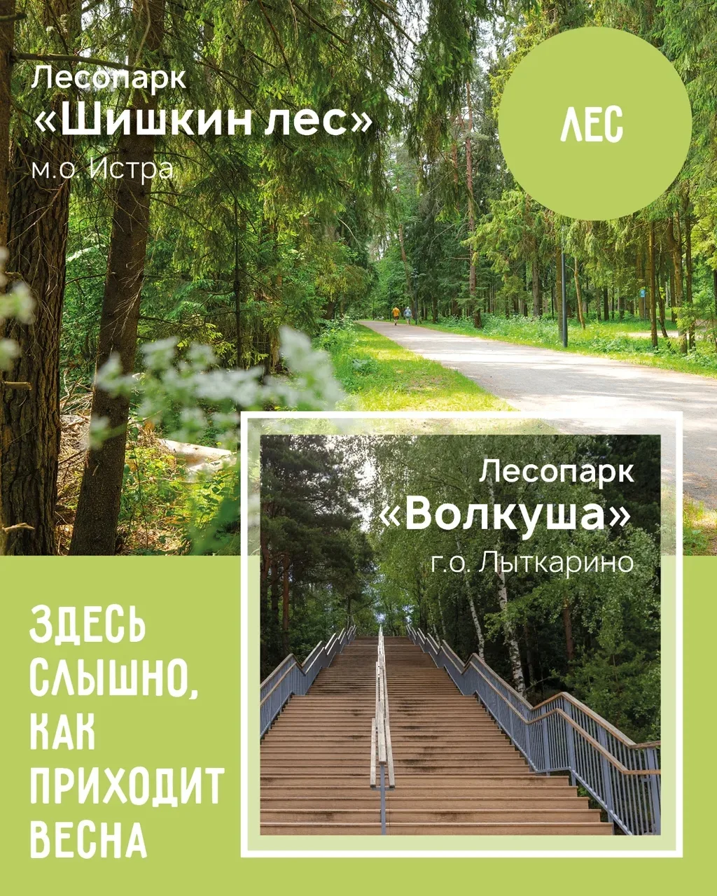 🌸 Майские выходные в парках Подмосковья — настоящая весенняя сказка   Приглашаем вас насладиться про