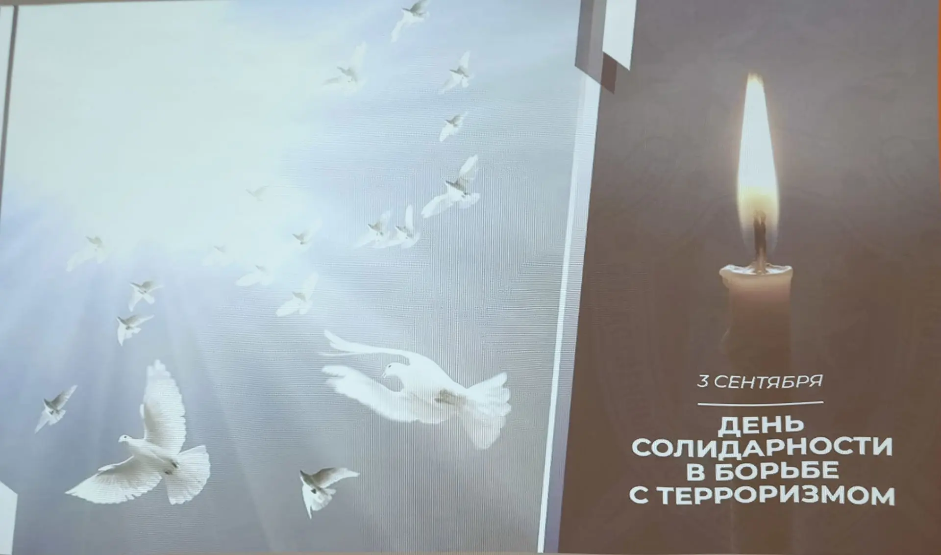 В Массандровском дворце прошел «Час памяти», посвященный Дню солидарности в борьбе с те...