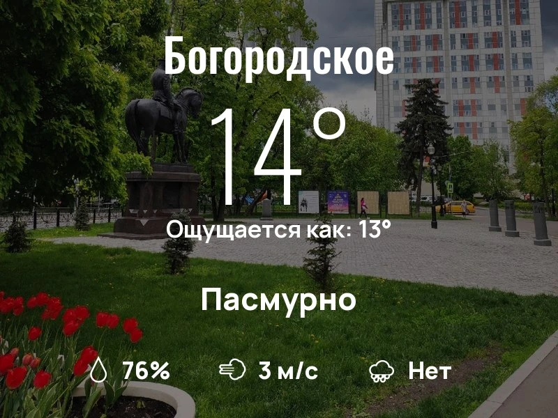 Что с погодой в Богородском?