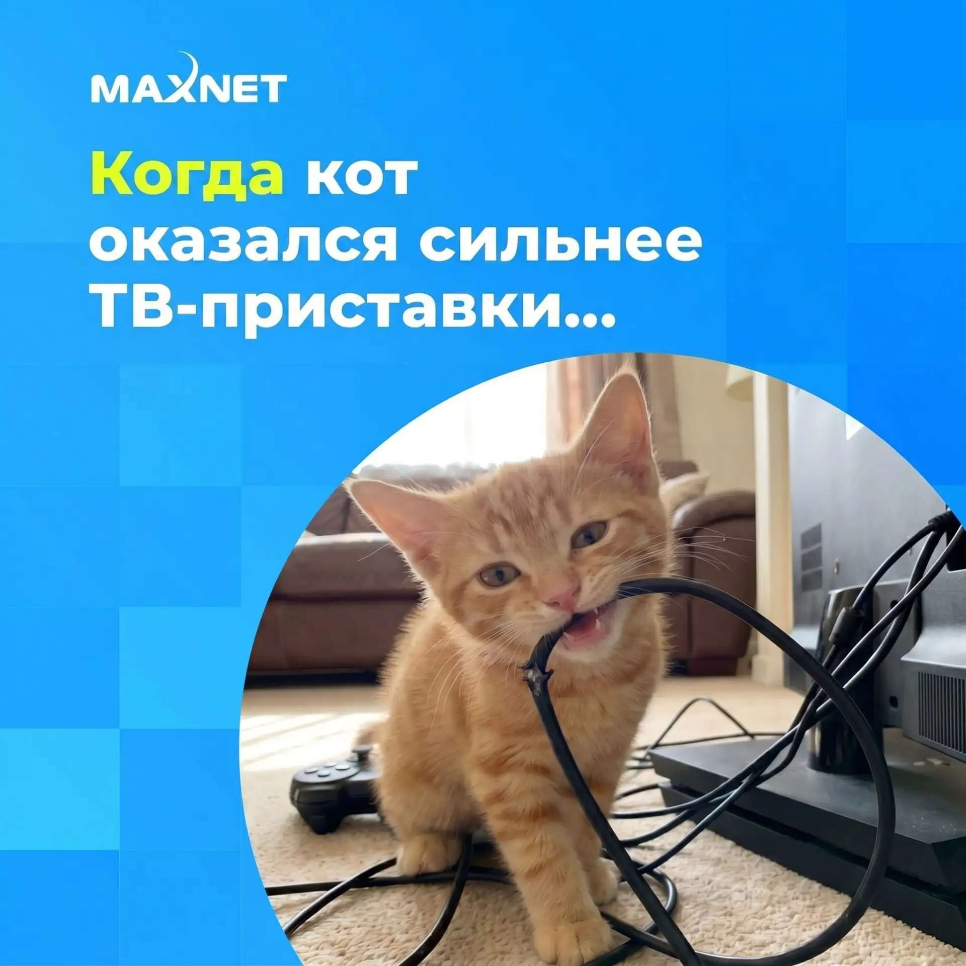 😺 Котик перегрыз провод от ТВ-приставки? Пульт потерялся или перестал работать?

Не переживайте — э