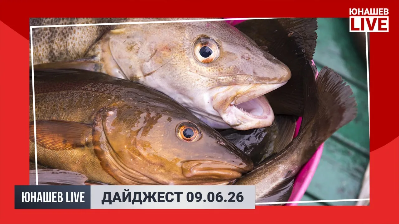Вот и вторник подошёл к концу, впереди ещё два рабочих дня и затем праздник — День России. А пока по