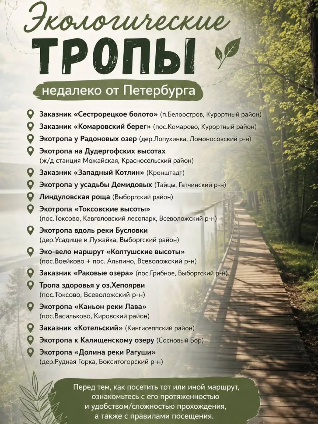 🍃Экологические тропы недалеко от Петербурга