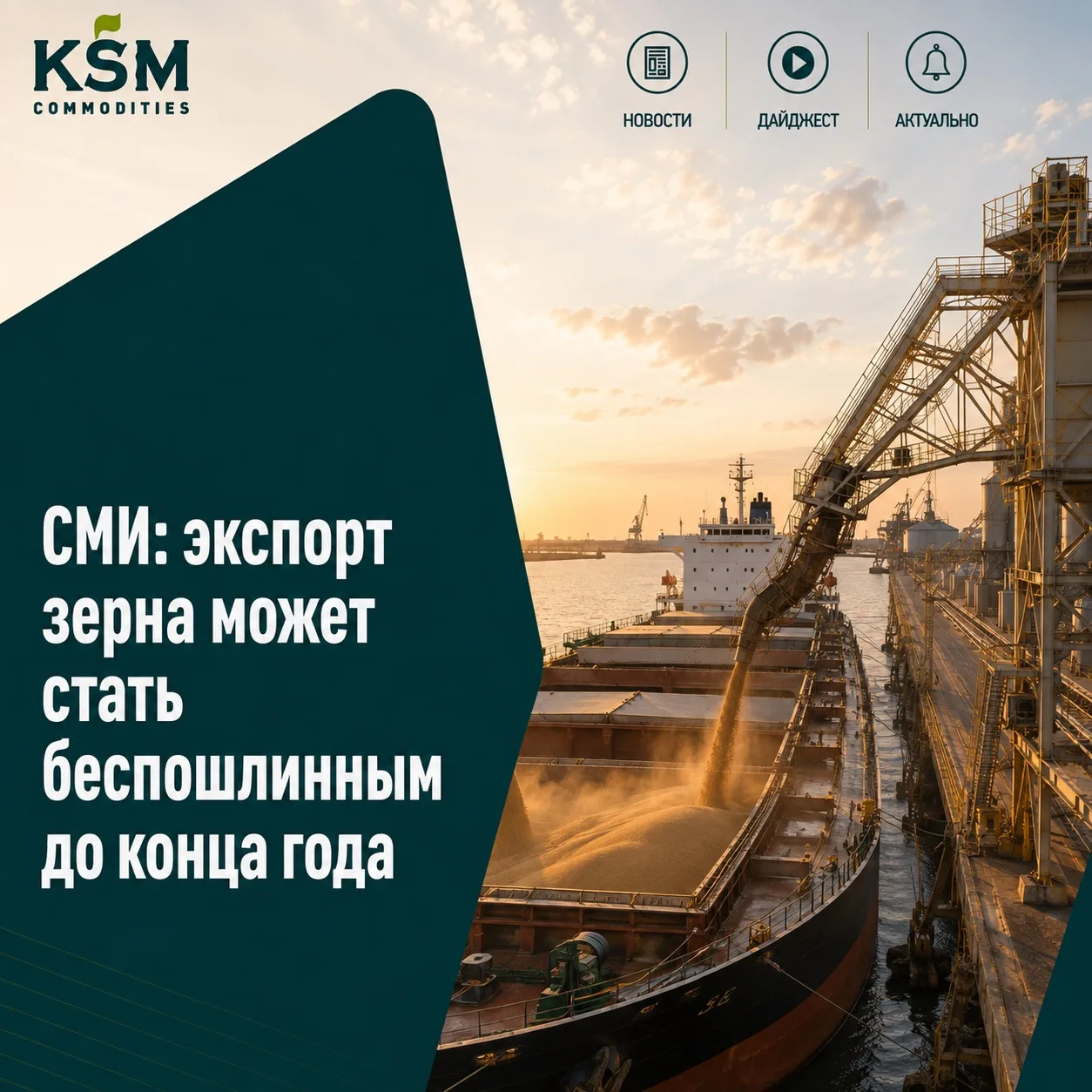❗️СМИ: экспорт зерна может стать беспошлинным до конца года