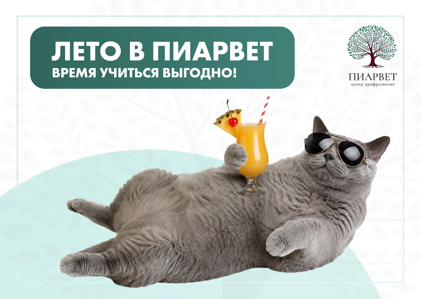 ☀️ Лето в ПИАРВЕТ - время учиться выгодно!