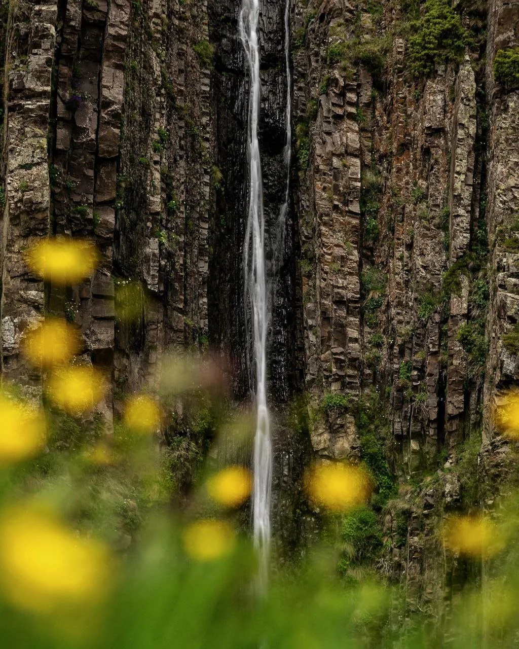🏞️ Гдымский водопад   Возможно, это не самый зрелищный водопад в Дагестане, но определённо один из с