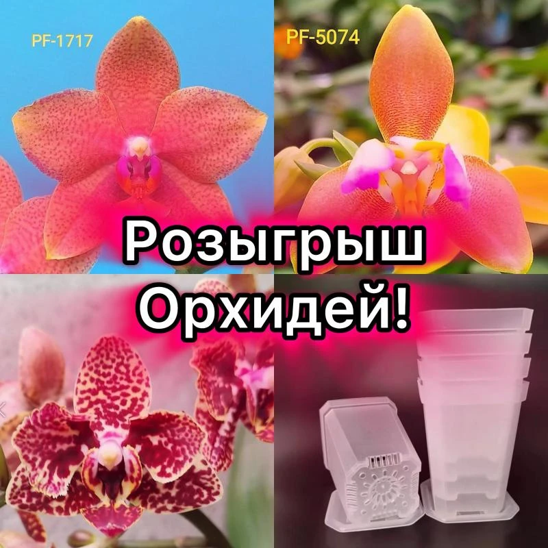 Друзья , всем Здравствуйте 🤝