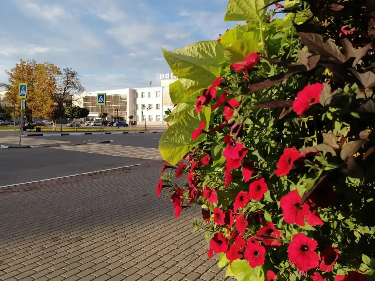 🥵 До +23°C будет в Подмосковье на следующей неделе, сообщили в Гидрометцентре.