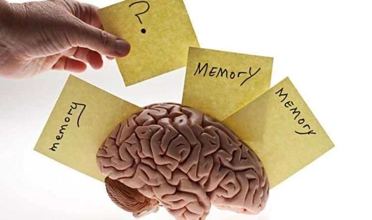 Привычки, которые могут ухудшать память🧠