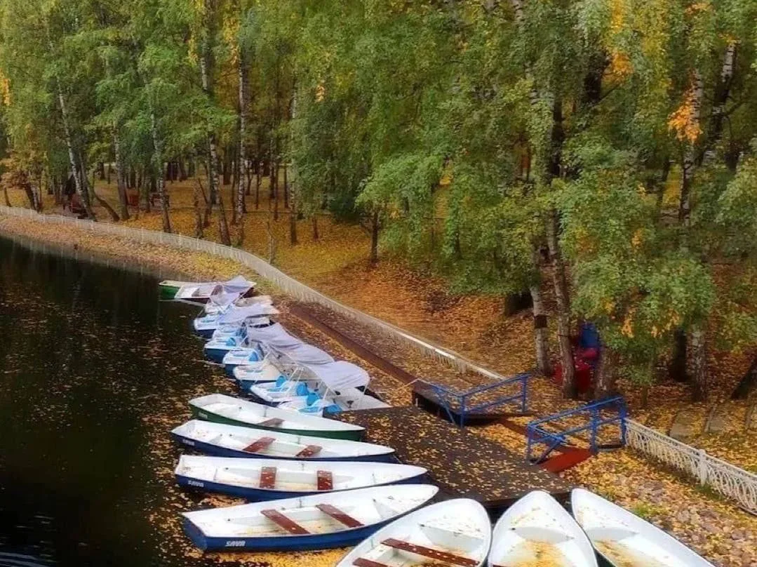 🍂 Лианозовский парк укрылся ковром из осенней листвы