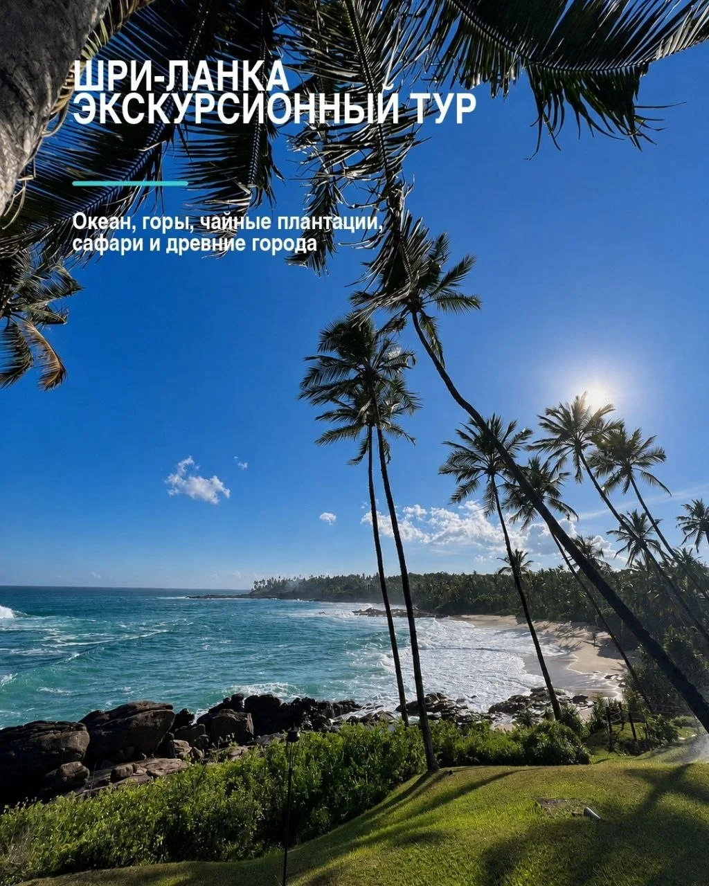 🇱🇰 Шри-Ланка: экскурсионный тур
