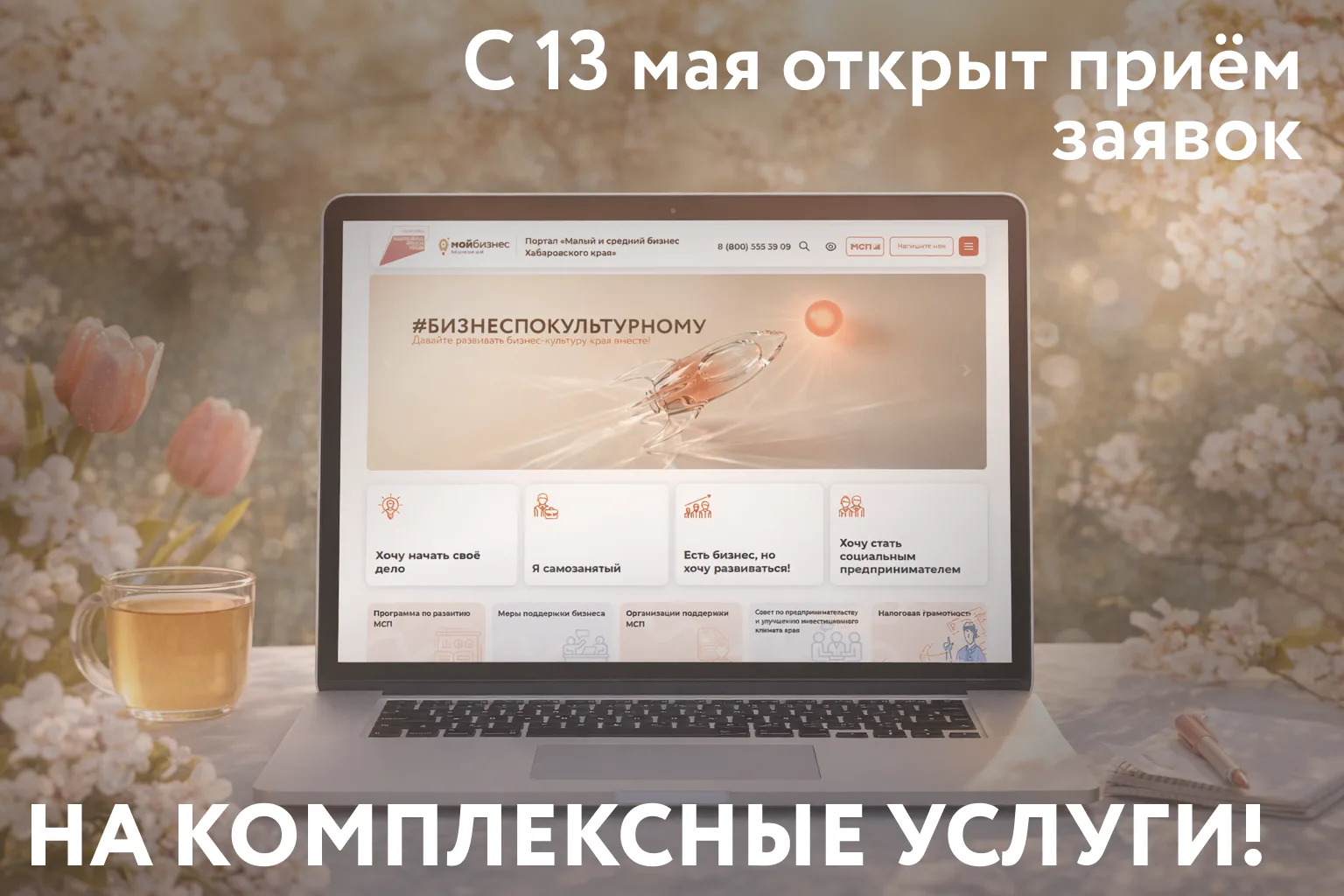 🚀 Стартовал долгожданный прием заявок на комплексные услуги!