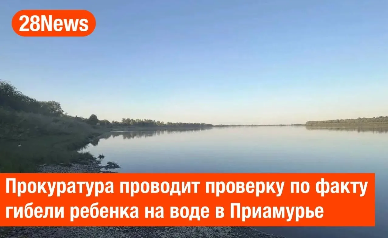 Свободненская городская прокуратура организовала проверку по факту гибели ребенка на во...