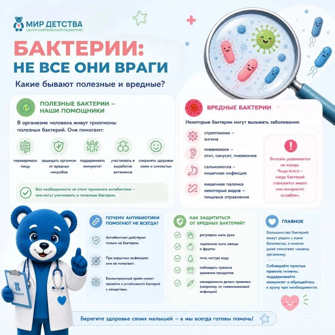 🦠 Бактерии: не все они враги! Какие бывают полезные и вредные?