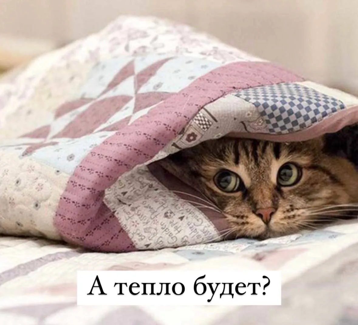 Новость для всех, кто уже начал мёрзнуть дома: с 1 октября в Москве стартует отопительн...