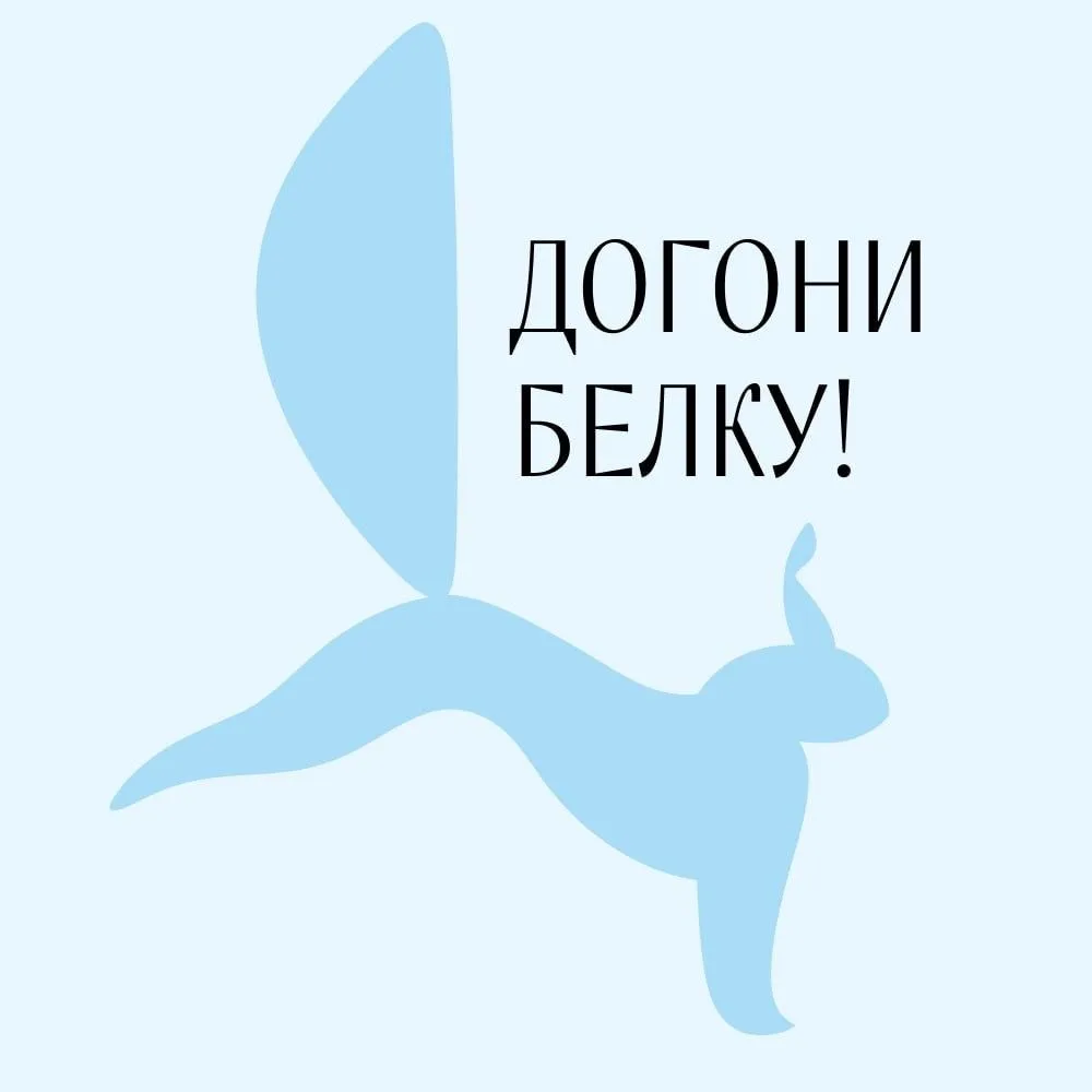 Томичи, студенты и гости города, могут не только наблюдать за белками (о них мы писали ...