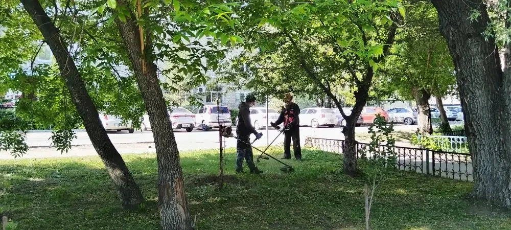 В округе  активно ведутся  работы по  покосу травы.