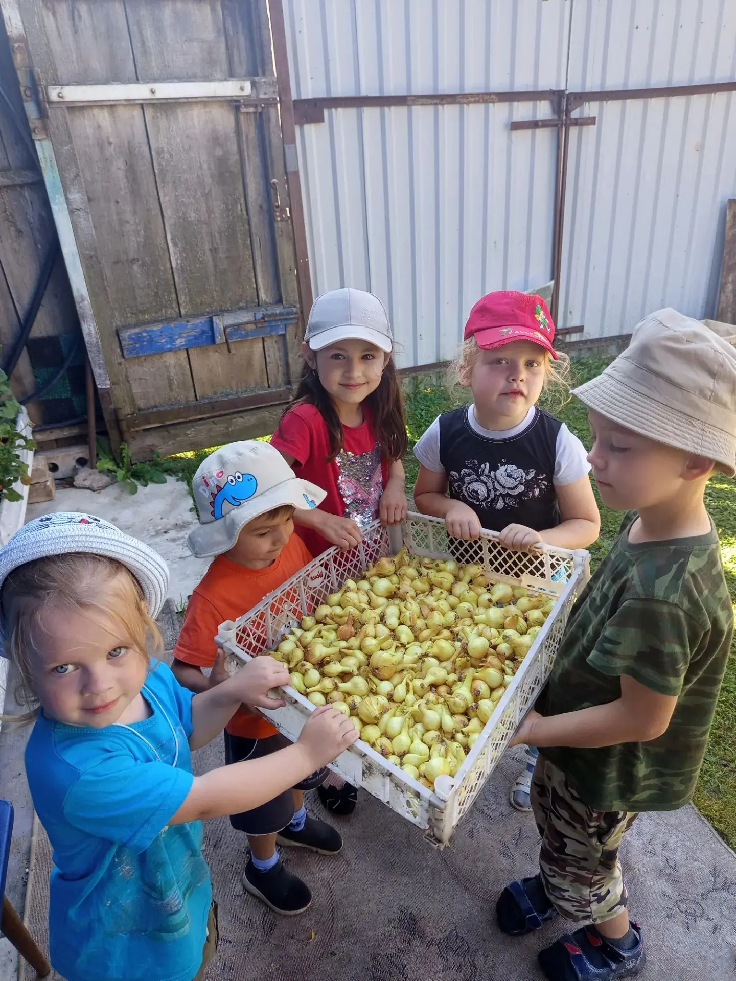 🧑‍🧑‍🧒‍🧒" Семья-это мы!" На прошлой неделе ребята начали знакомиться с садом и огоро...