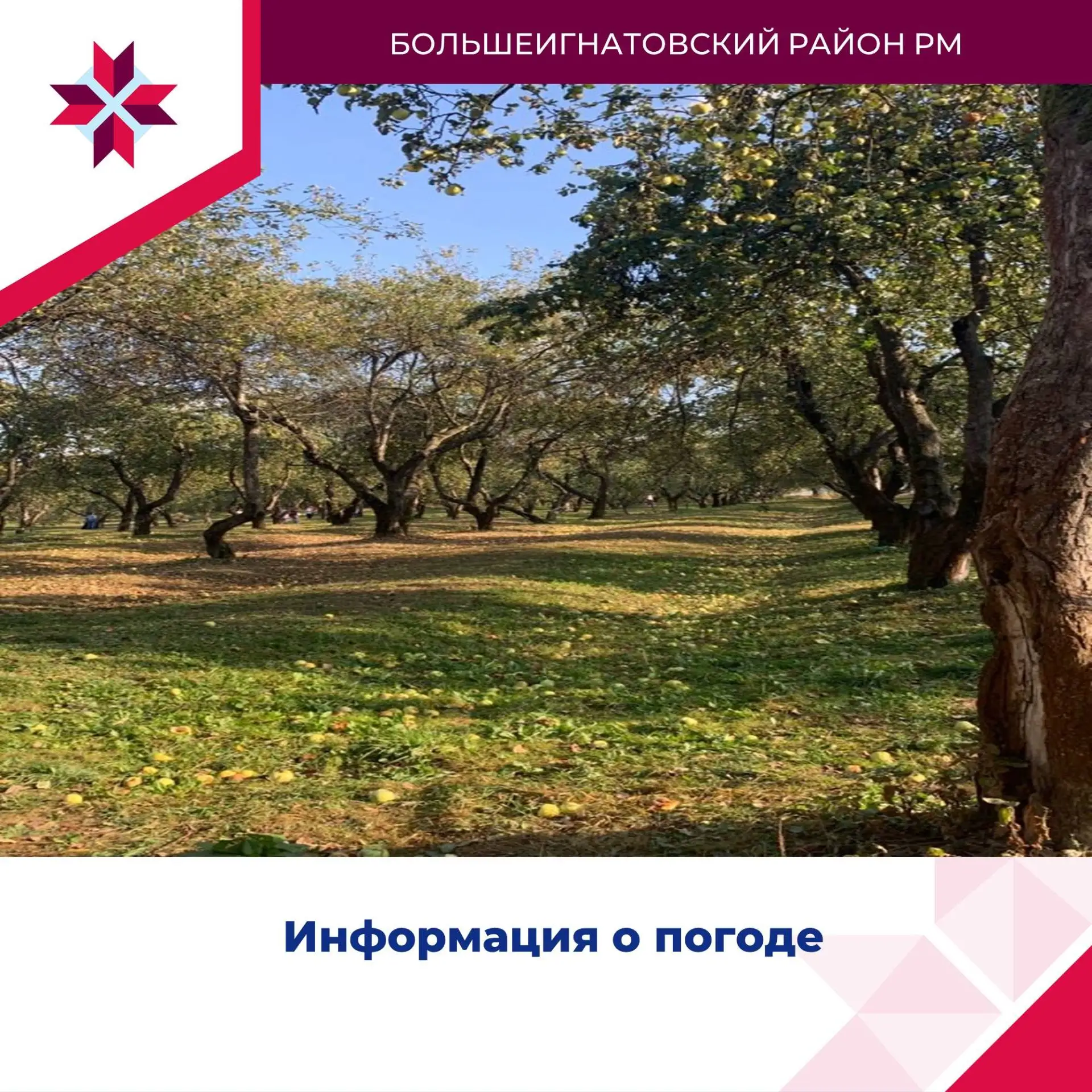 ⛅️ Информация о погодных условиях в Республике Мордовия.                               ...