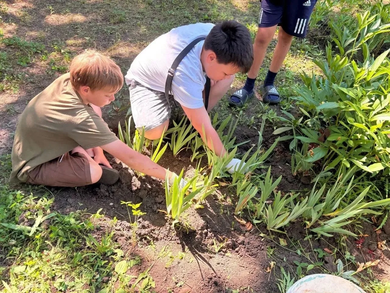 **Санитарная пятница: результат! 🌿🧹**Сегодня наши ребята — настоящие молодцы! Привели школьный дво