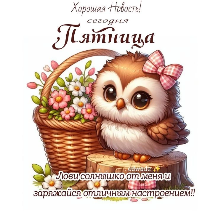 🦉 Доброго дня ☕️🫶🏻
