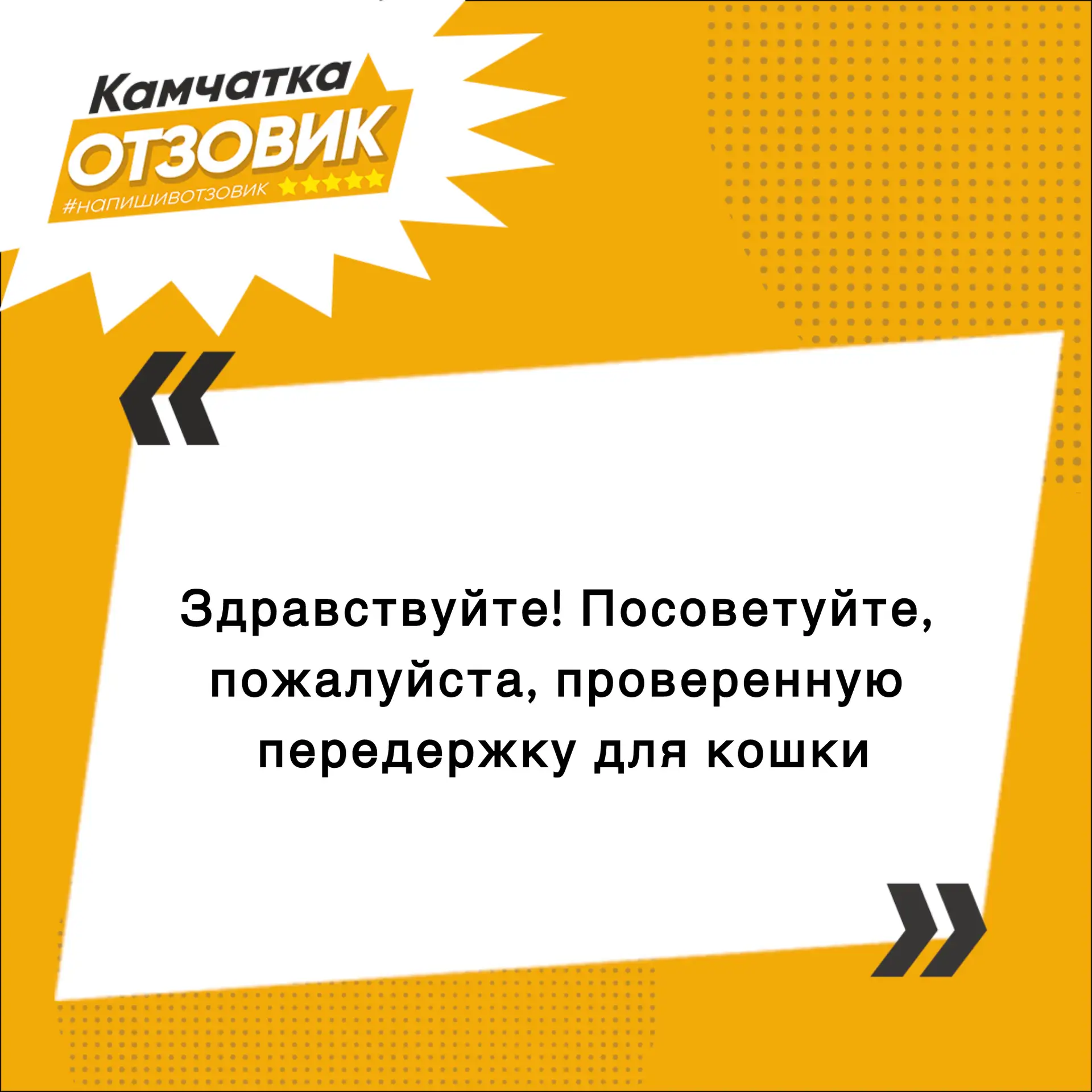 В редакцию Камчатского «Отзовика» поступило сообщение от подписчицы. 🐈